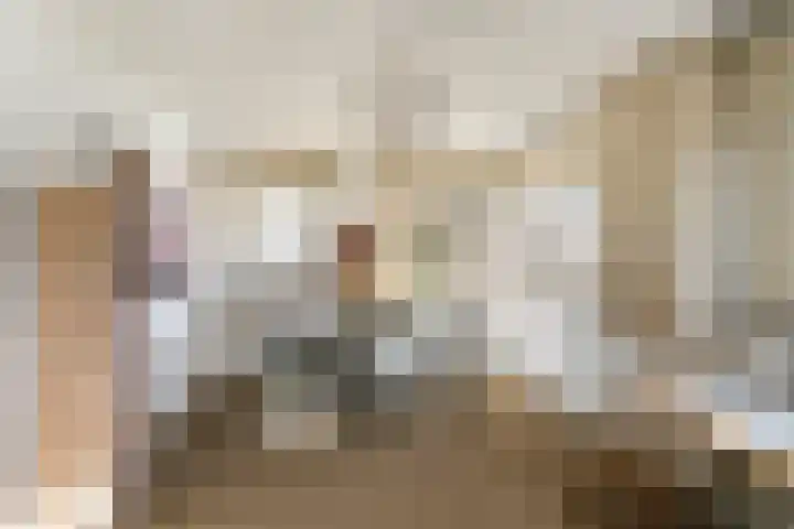 De Noorderhoek 15 Poeldijk thumbnail 42