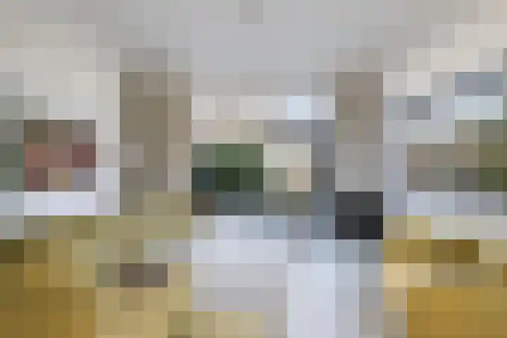 De Noorderhoek 15 Poeldijk thumbnail 5