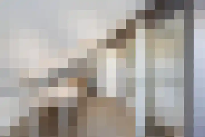 De Noorderhoek 15 Poeldijk thumbnail 51