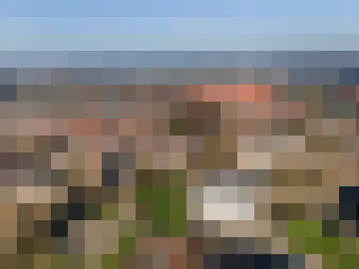 De Noorderhoek 15 Poeldijk thumbnail 57