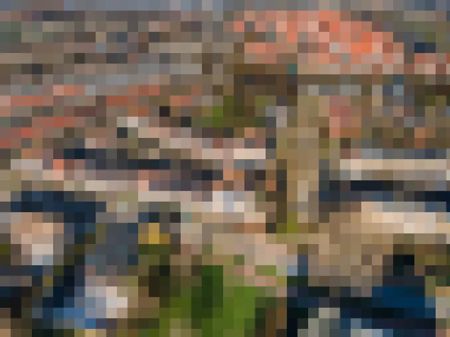 De Noorderhoek 15 Poeldijk thumbnail 58