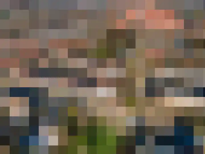 De Noorderhoek 15 Poeldijk thumbnail 58