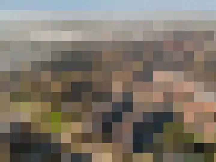 De Noorderhoek 15 Poeldijk thumbnail 60
