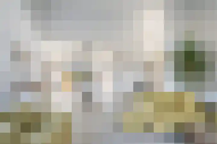 De Noorderhoek 15 Poeldijk thumbnail 7