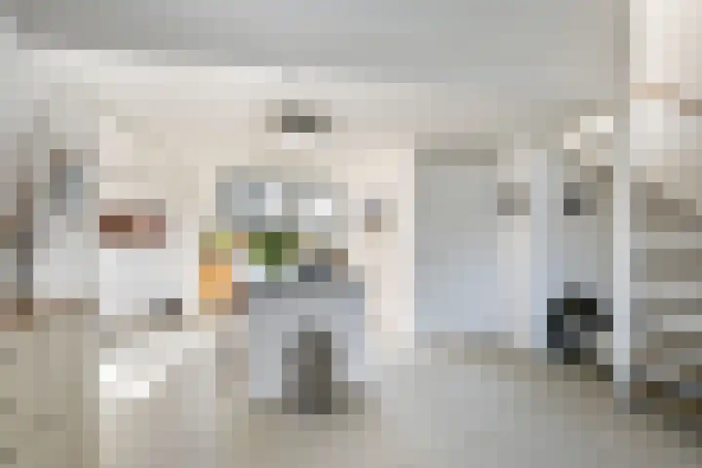 De Noorderhoek 15 Poeldijk thumbnail 8