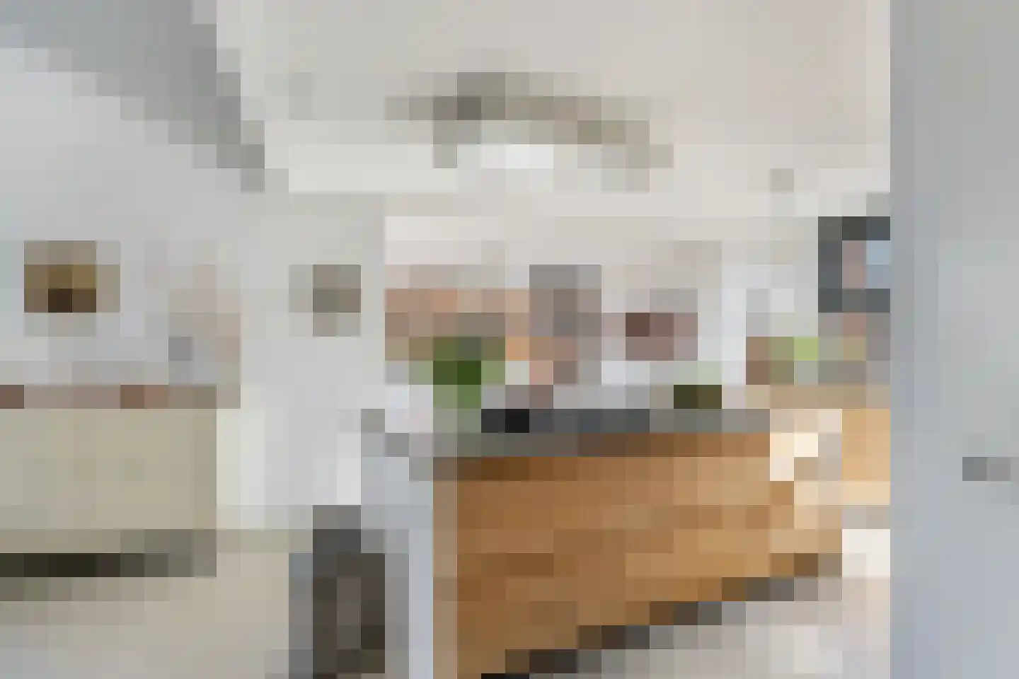 De Noorderhoek 15 Poeldijk thumbnail 9