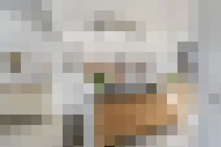 De Noorderhoek 15 Poeldijk thumbnail 9