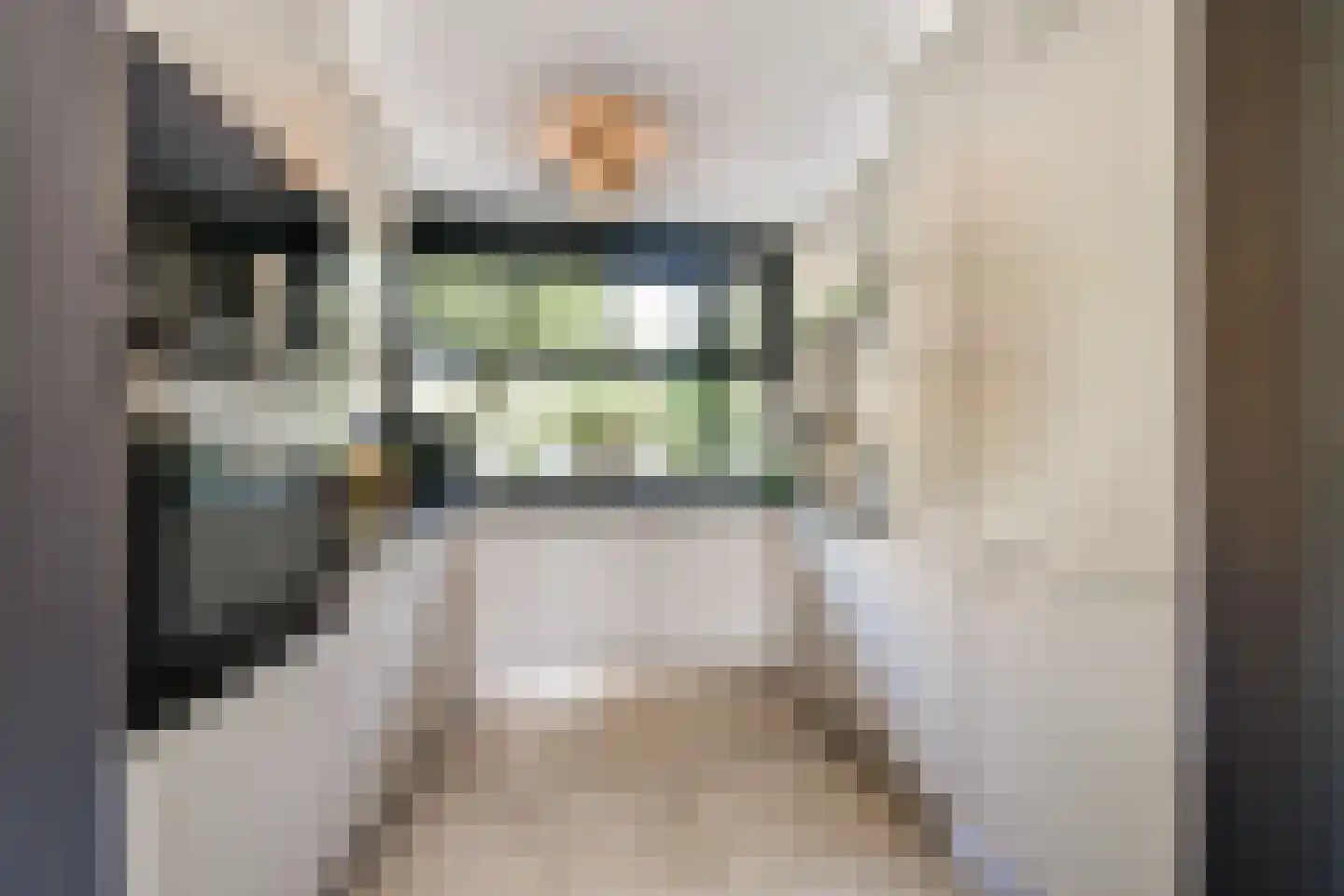 De Noorderhoek 24 Poeldijk thumbnail 10