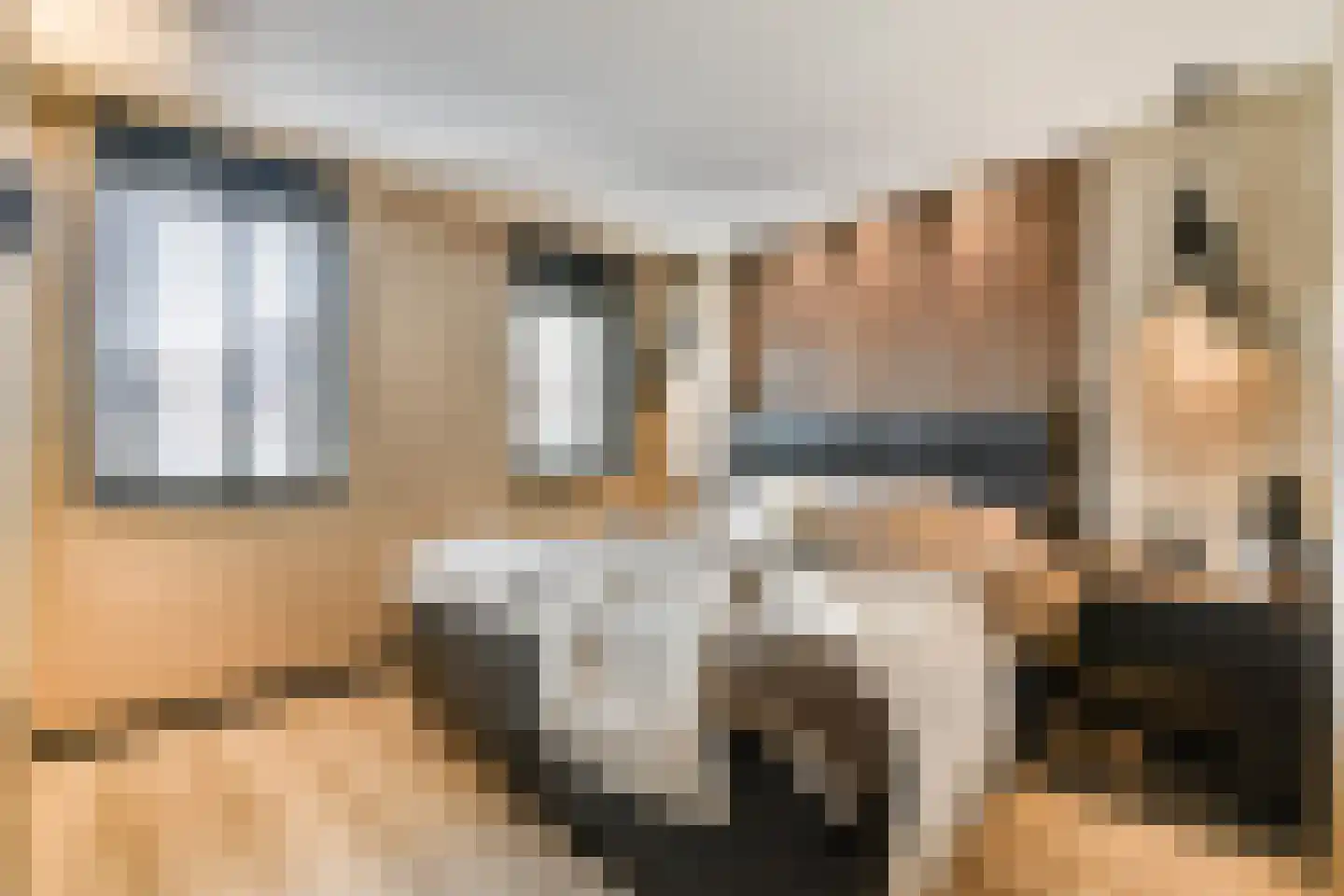 De Noorderhoek 24 Poeldijk thumbnail 14