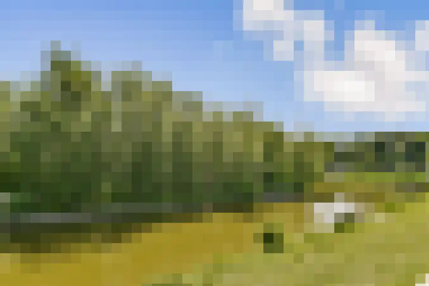 De Noorderhoek 24 Poeldijk thumbnail 31