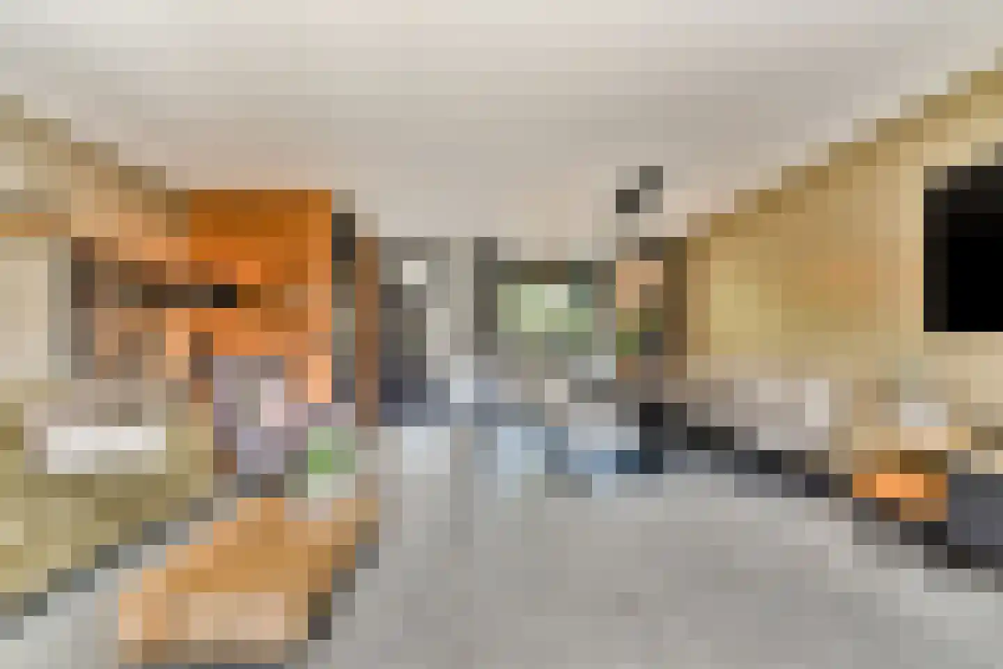 De Noorderhoek 24 Poeldijk thumbnail 4