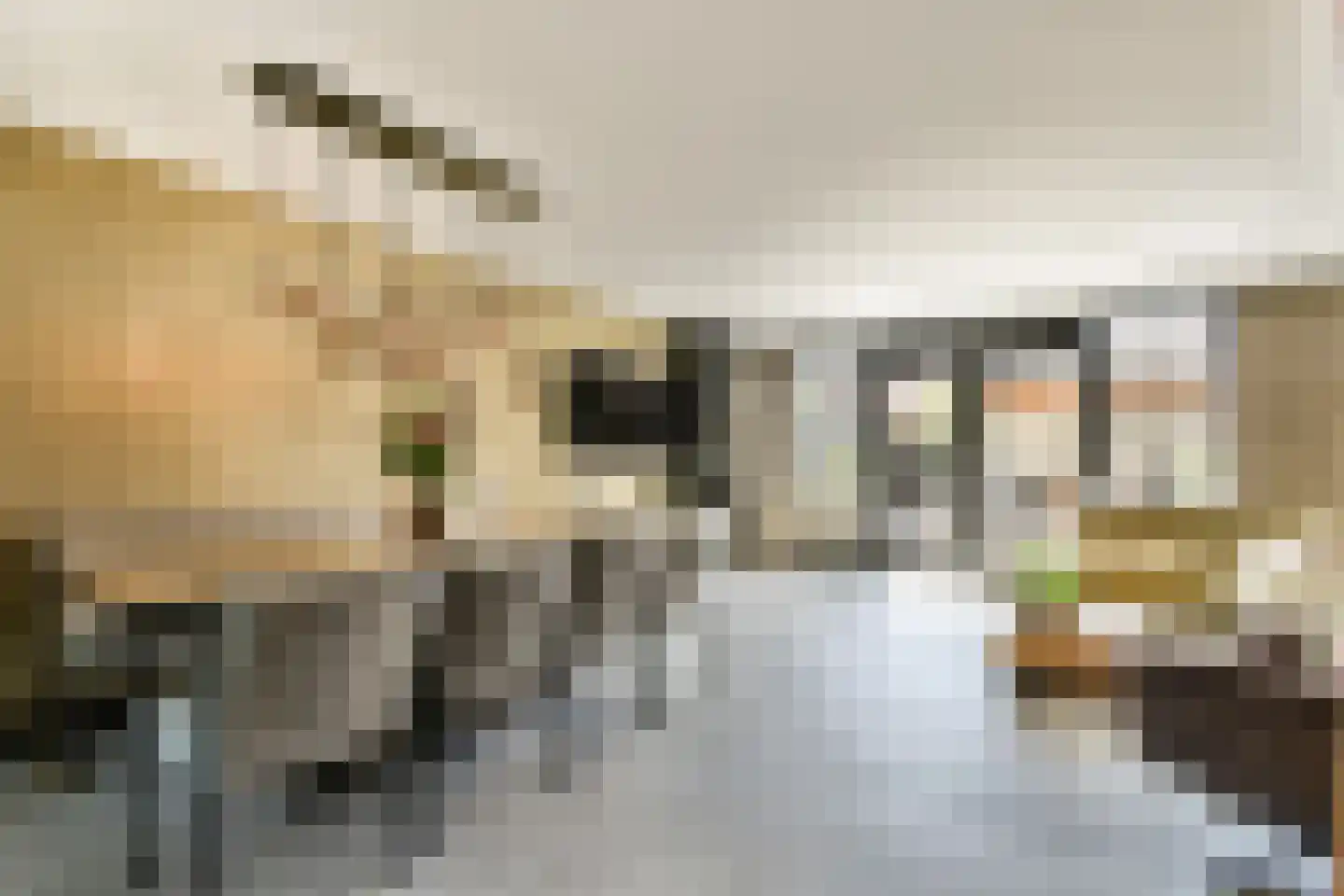 De Noorderhoek 24 Poeldijk thumbnail 5
