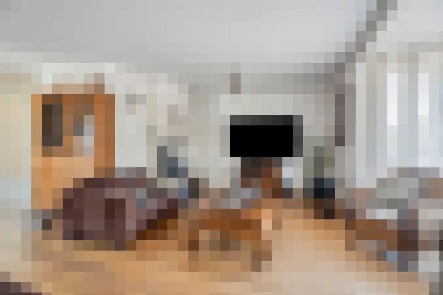 de Noorderkamp 1 Oldebroek thumbnail 15