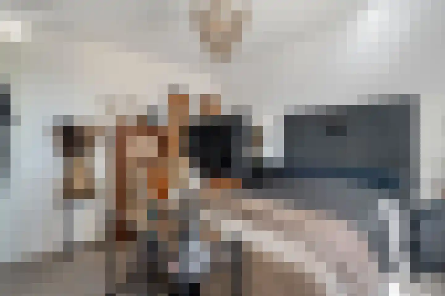 de Noorderkamp 1 Oldebroek thumbnail 41