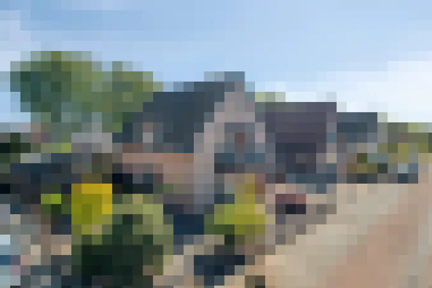 de Noorderkamp 1 Oldebroek thumbnail 8