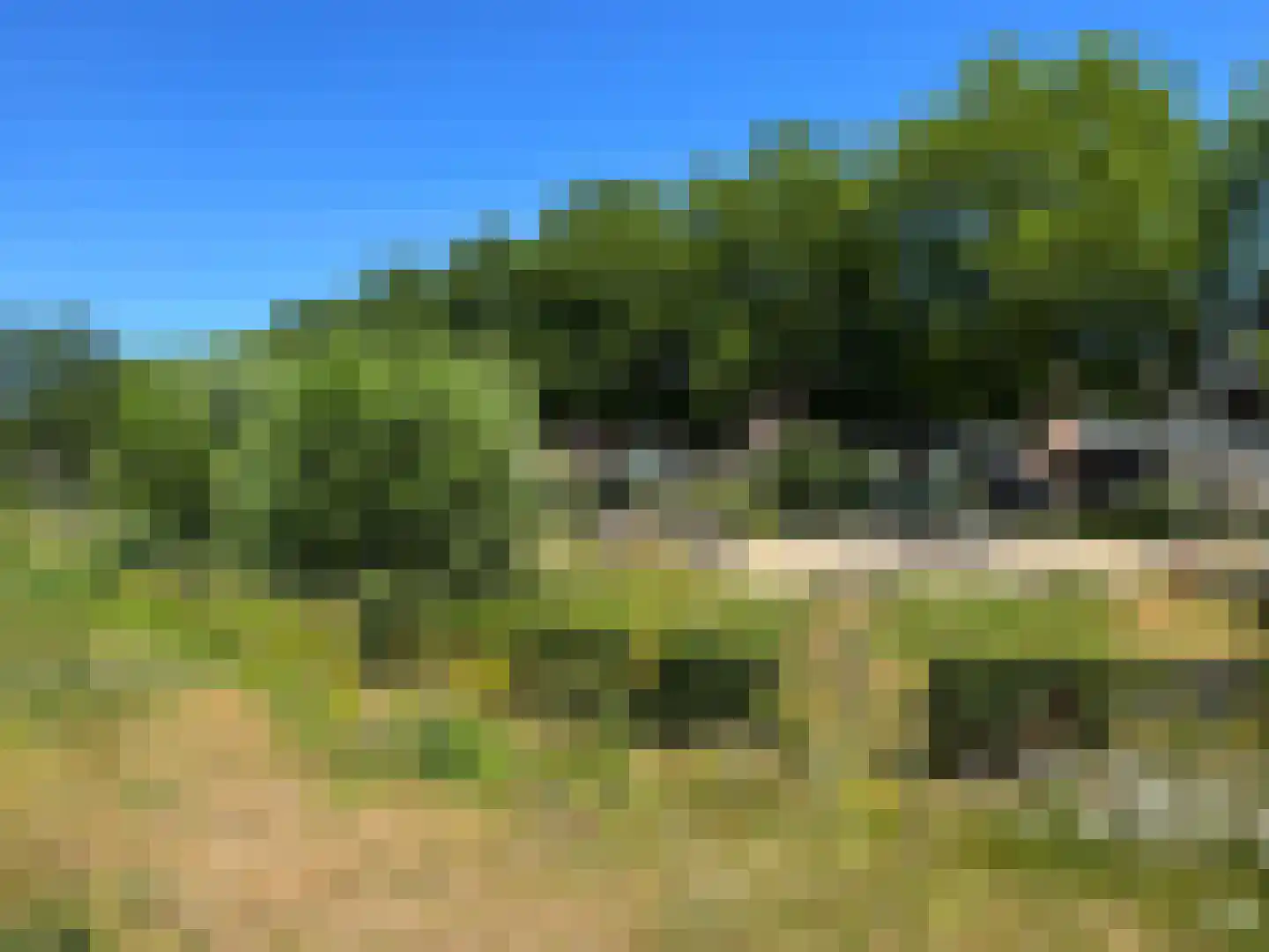 de Noorderkamp 9 Oldebroek thumbnail 68