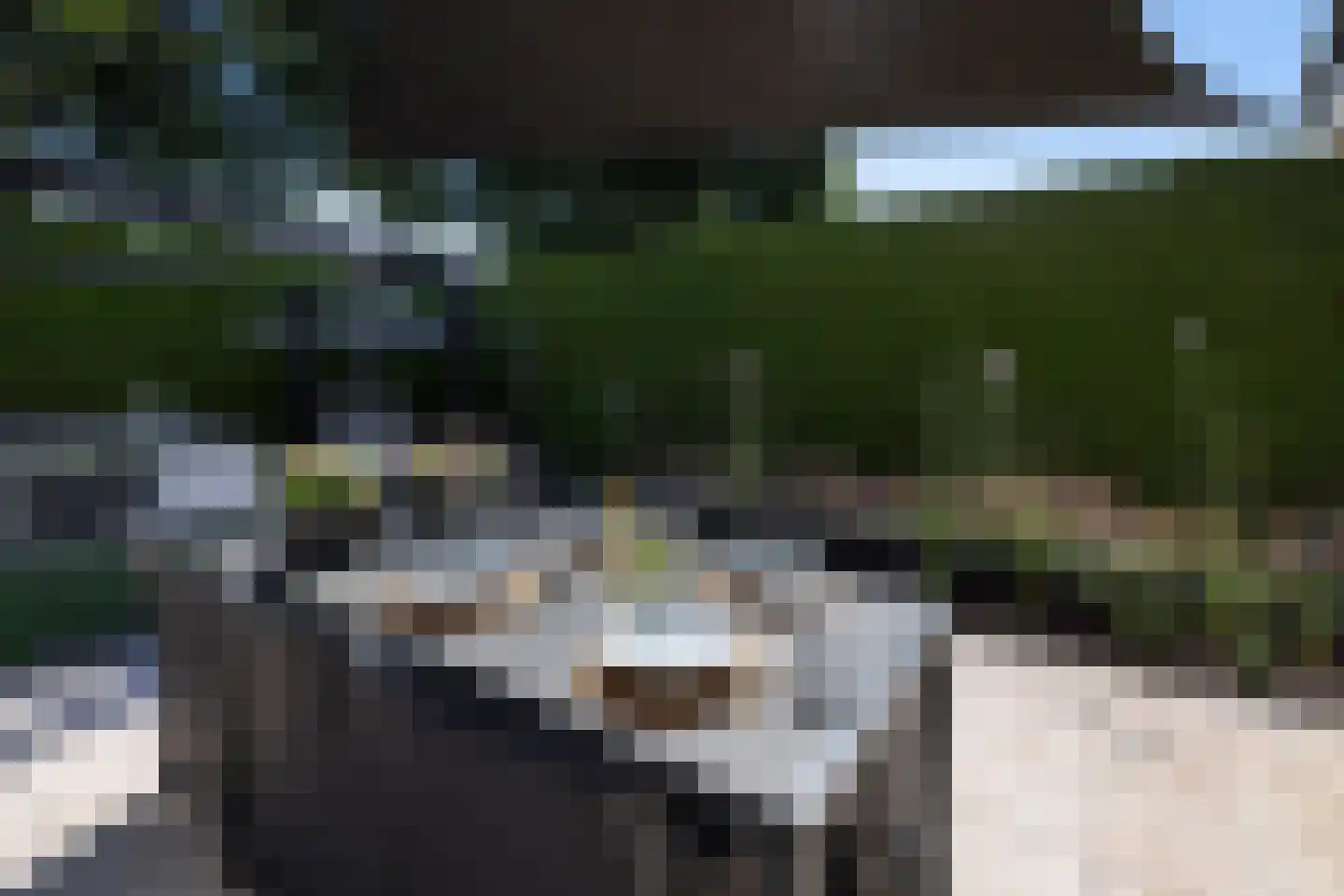 de Noorderkamp 9 Oldebroek thumbnail 8