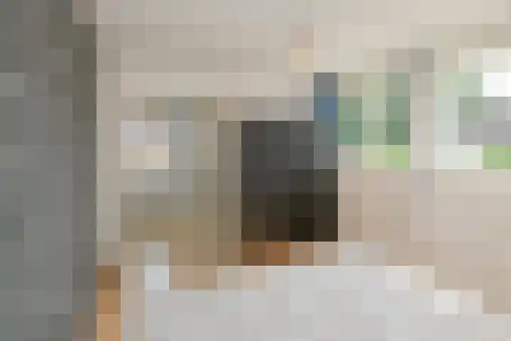 De Notenkraker 42 Almelo thumbnail 22