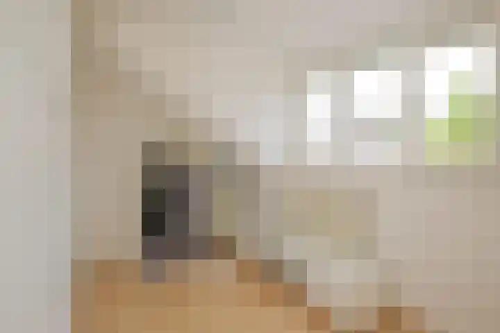 De Notenkraker 42 Almelo thumbnail 24