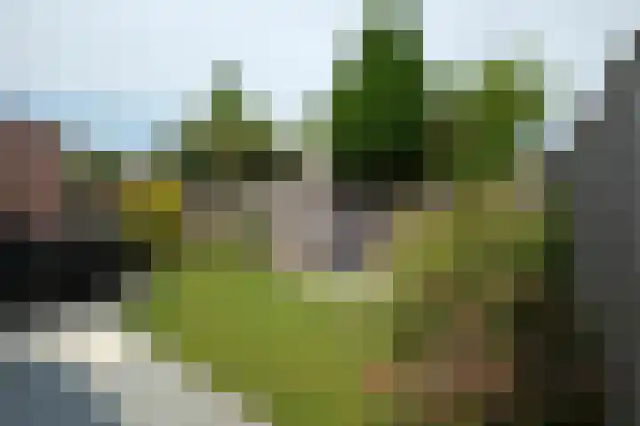 De Notenkraker 42 Almelo thumbnail 27