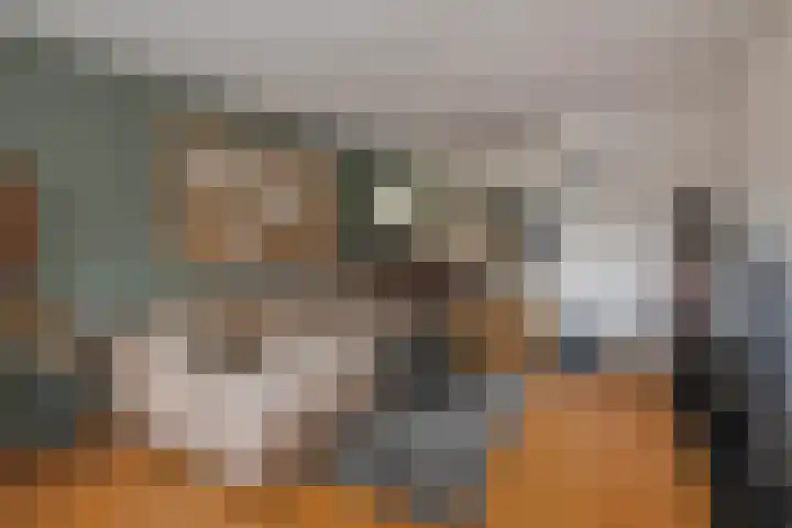 De Notenkraker 42 Almelo thumbnail 5