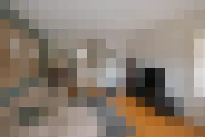 De Notenkraker 42 Almelo thumbnail 7