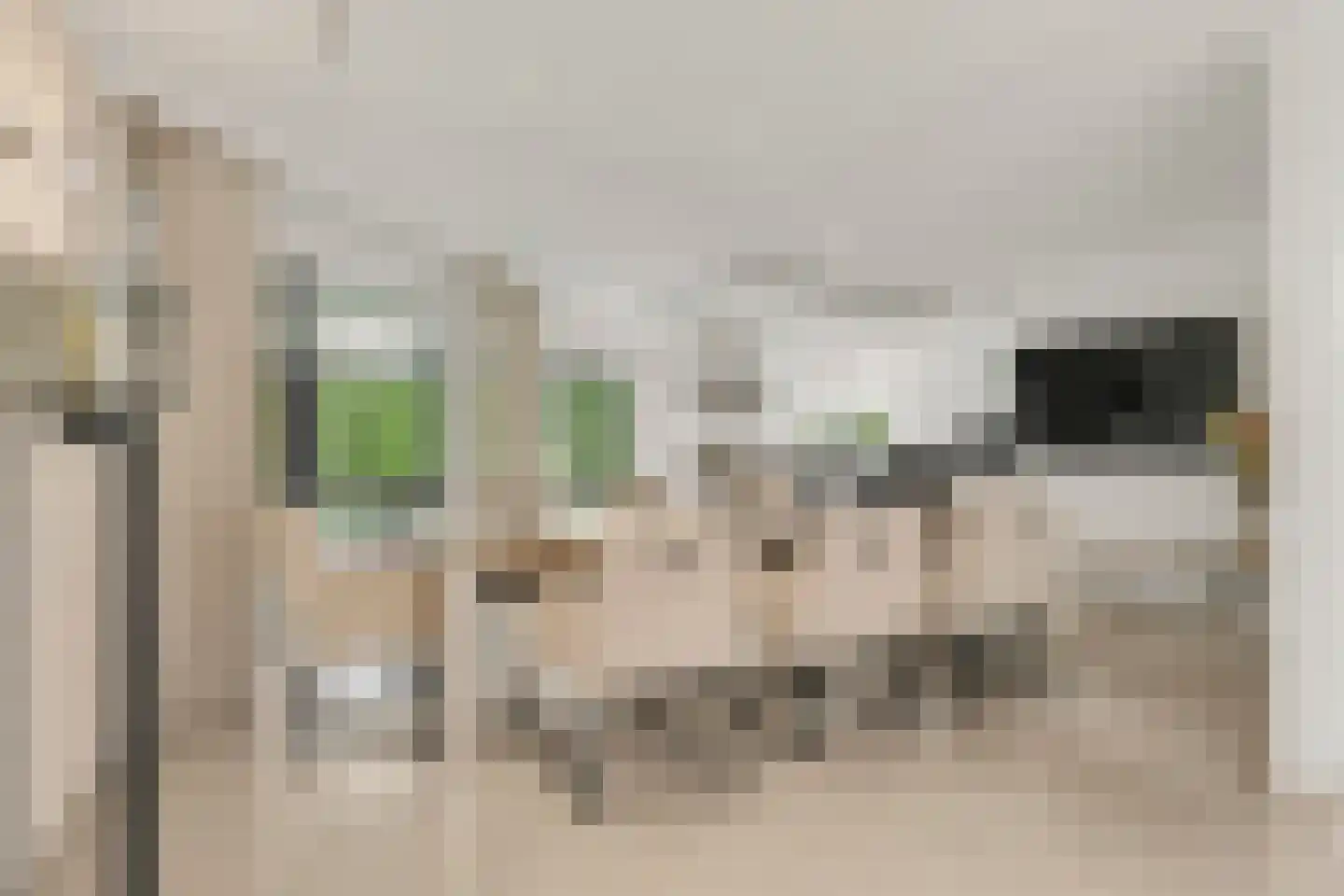De Notenkraker 51 Almelo thumbnail 13