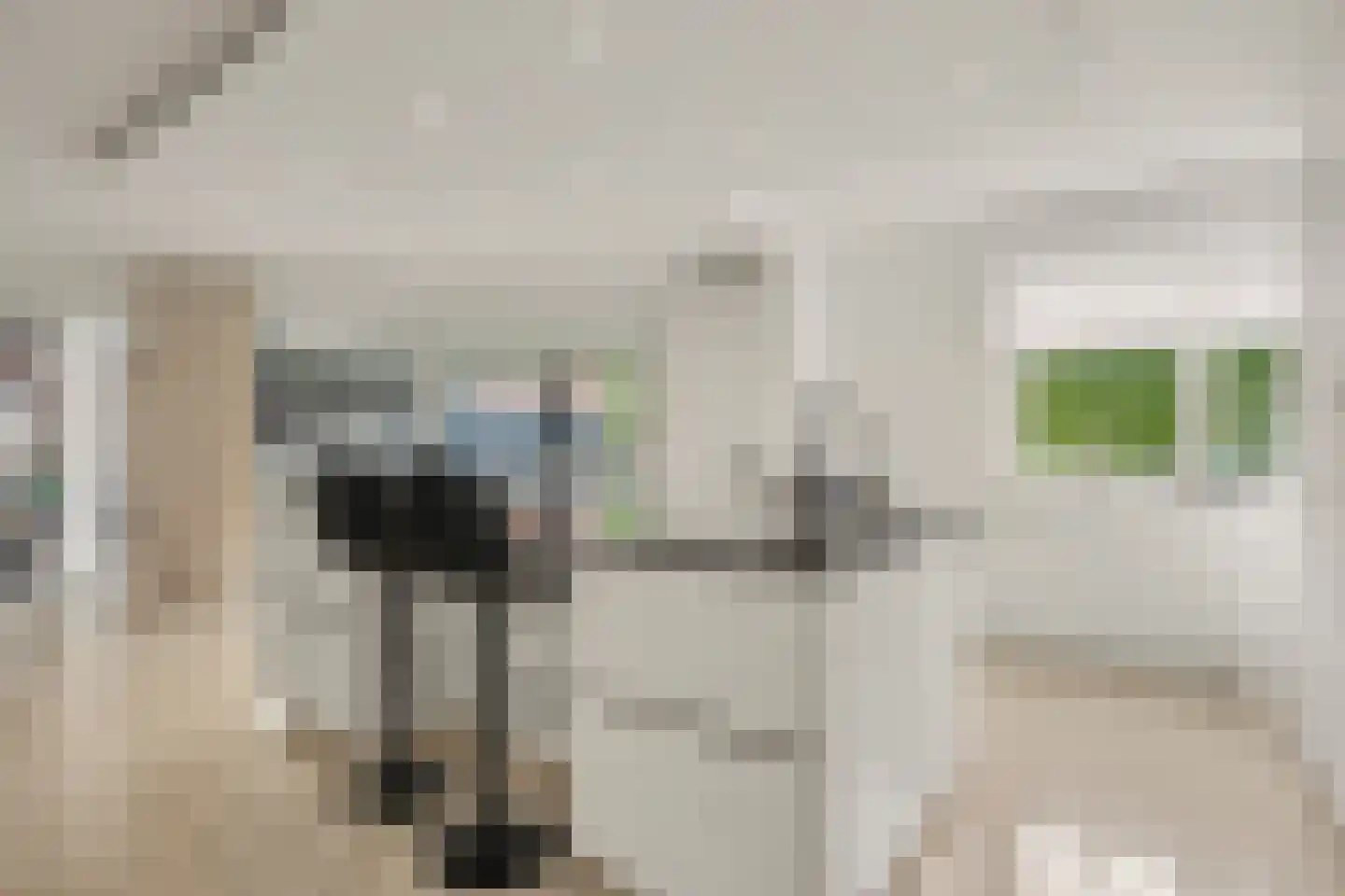 De Notenkraker 51 Almelo thumbnail 16