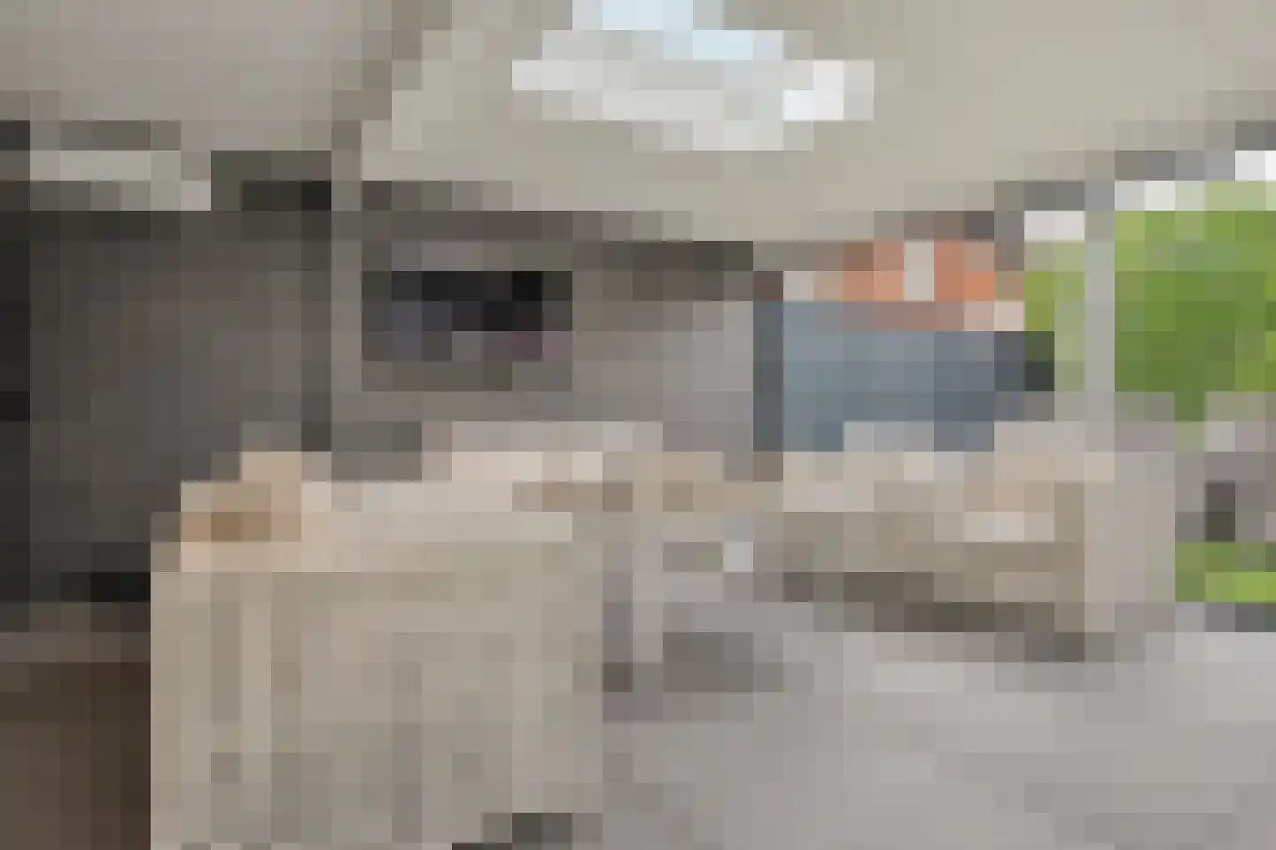 De Notenkraker 51 Almelo thumbnail 23