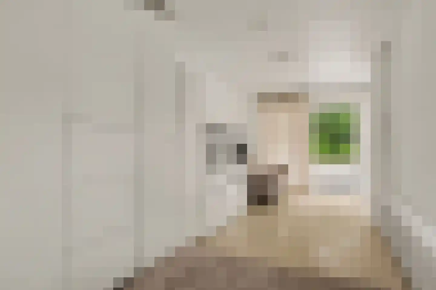 De Notenkraker 51 Almelo thumbnail 26