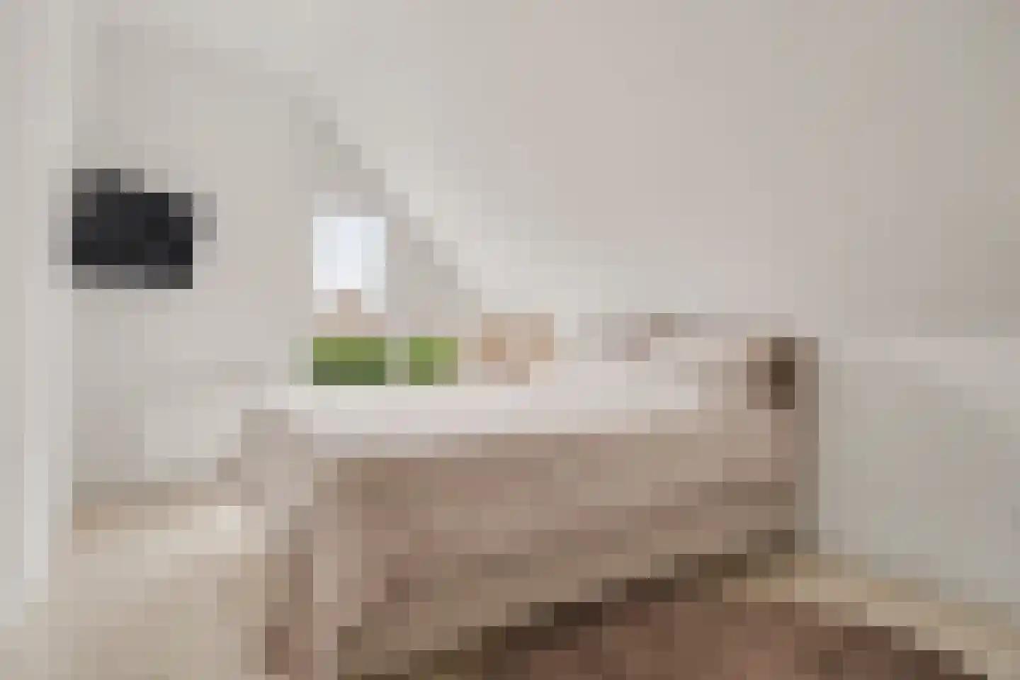 De Notenkraker 51 Almelo thumbnail 33
