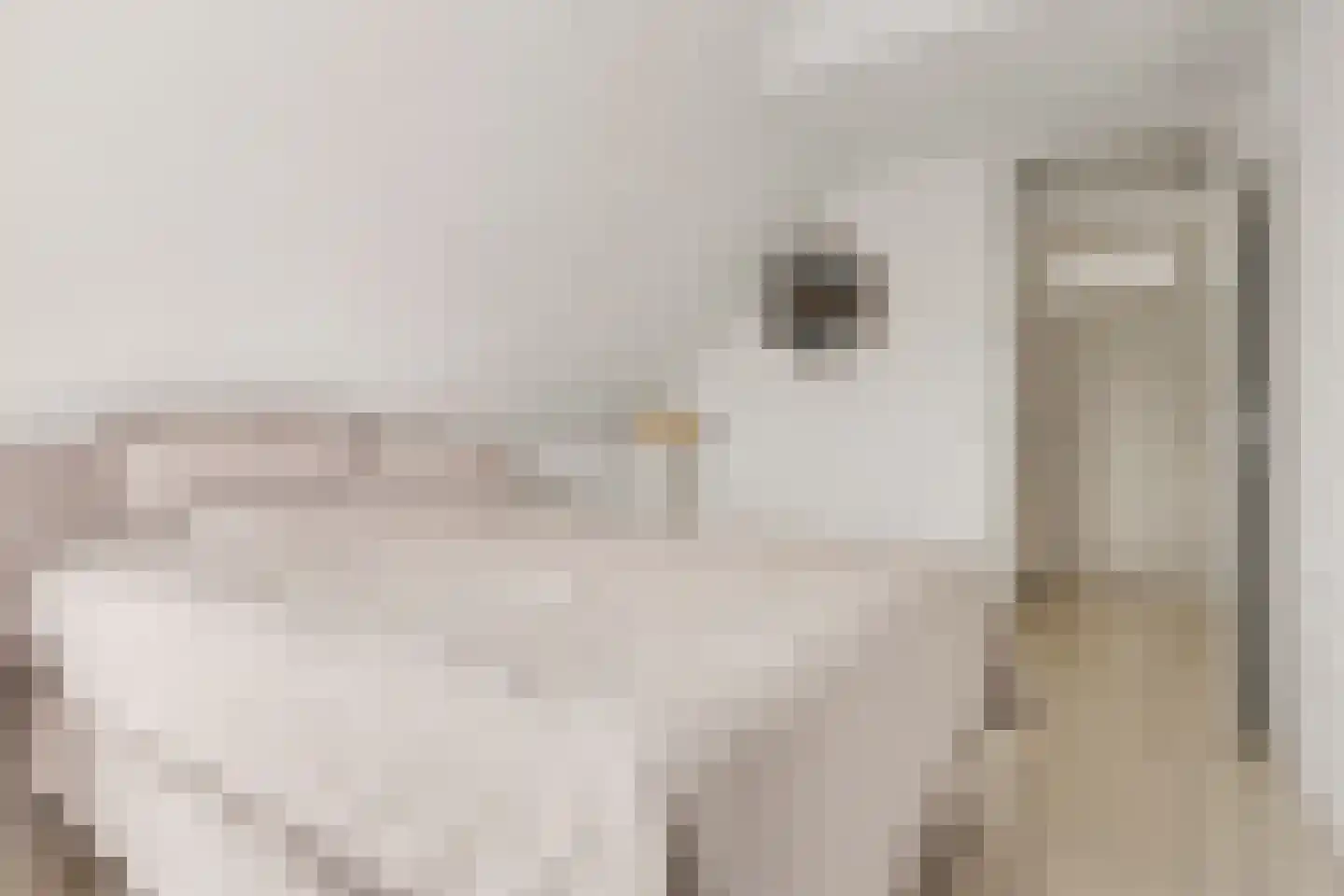 De Notenkraker 51 Almelo thumbnail 34
