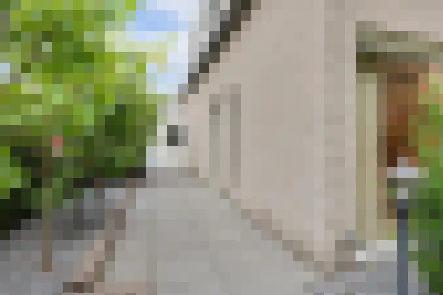 De Notenkraker 51 Almelo thumbnail 41