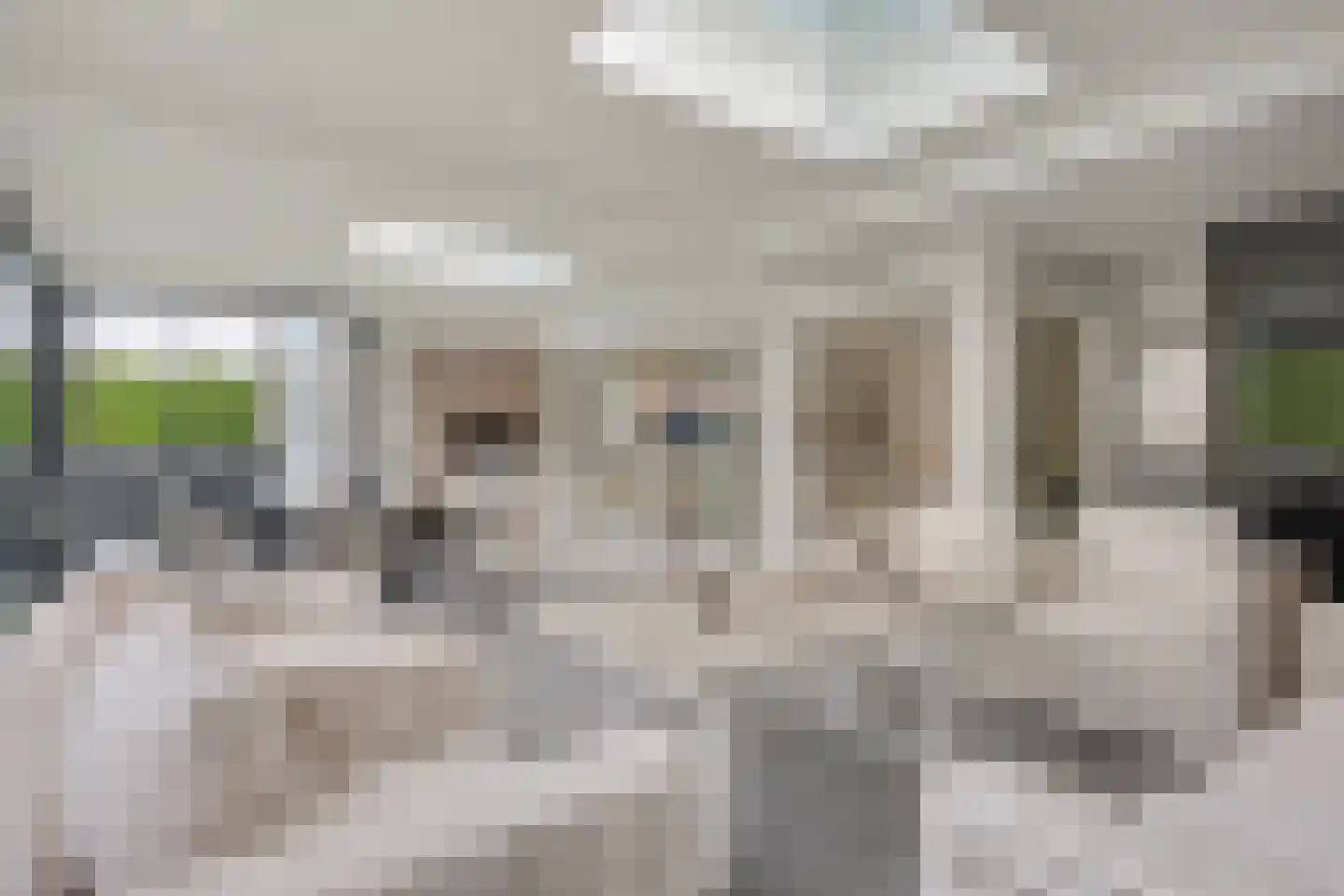 De Notenkraker 51 Almelo thumbnail 5