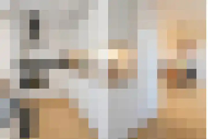 De Notenkraker 8 Almelo thumbnail 11
