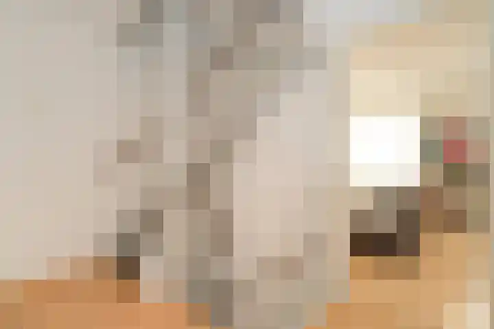 De Notenkraker 8 Almelo thumbnail 19