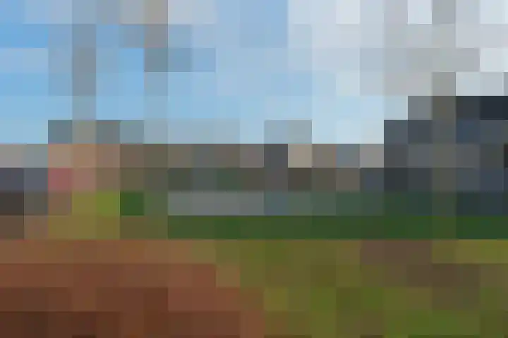 De Notenkraker 8 Almelo thumbnail 22