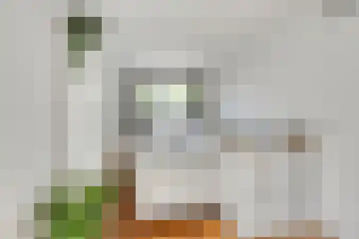 De Nova Cura 11 Drachten thumbnail 15