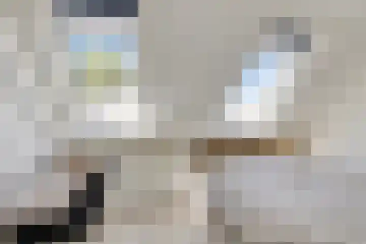De Nova Cura 11 Drachten thumbnail 26