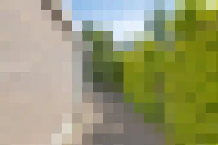 De Nova Cura 11 Drachten thumbnail 31
