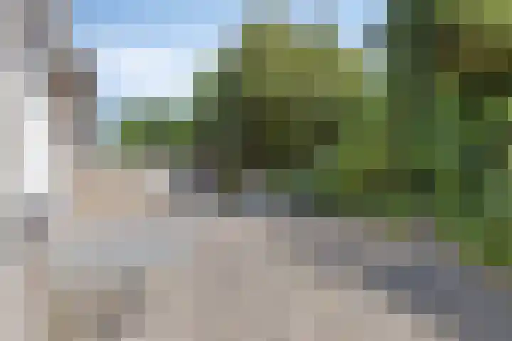 De Nova Cura 11 Drachten thumbnail 32