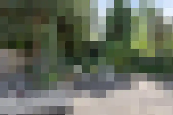 De Nova Cura 11 Drachten thumbnail 33