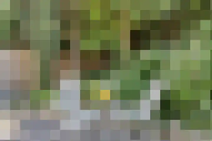 De Nova Cura 11 Drachten thumbnail 34