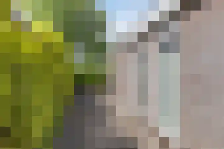 De Nova Cura 11 Drachten thumbnail 37