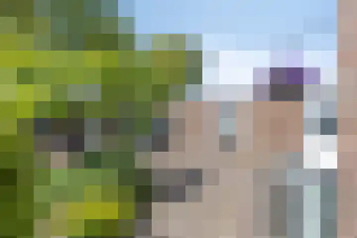 De Nova Cura 11 Drachten thumbnail 38
