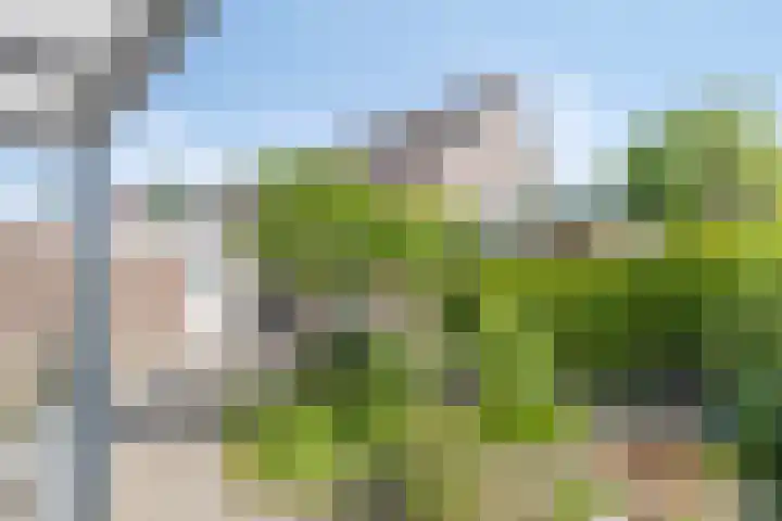 De Nova Cura 11 Drachten thumbnail 4