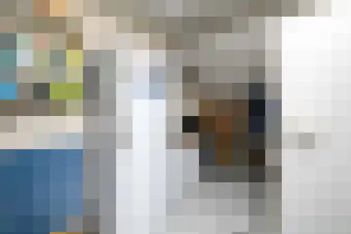 De Nova Cura 119 Drachten thumbnail 14