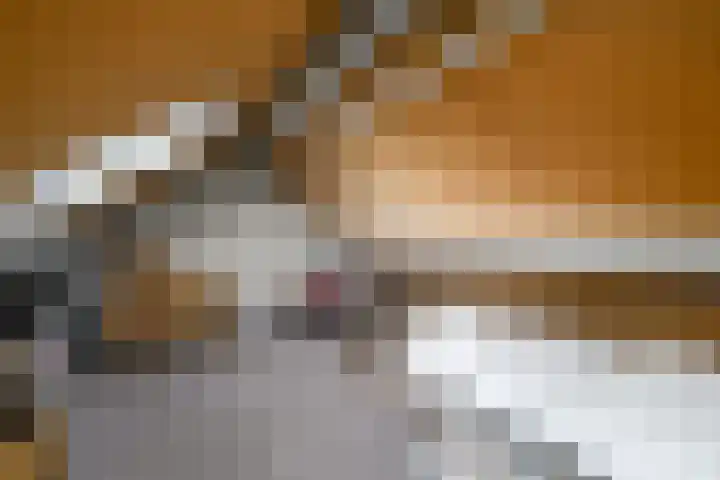 De Nova Cura 119 Drachten thumbnail 31