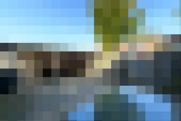 De Nova Cura 119 Drachten thumbnail 33