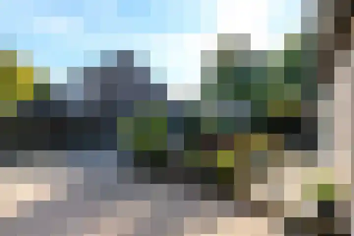 De Nova Cura 119 Drachten thumbnail 40